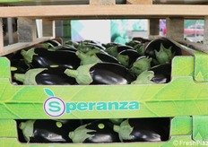 La cassetta a marchio "Speranza"