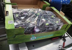 La cassetta "flowpackata"