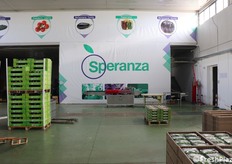 Ampi spazi interni, quelli del magazzino che consentono manovre agevoli per il caricamento delle pedane