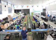 Alessandro Speranza, direttore commerciale dell'azienda