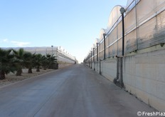 Viali larghi per il transito dei mezzi tra una serra e l'altra