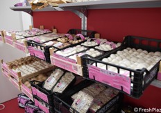 Esposizione di funghi 