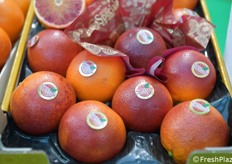 Arance rosse Speciale