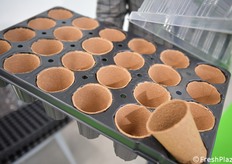 In dettaglio, una proposta di Energy Green