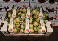 Un midi plum bianco. Probabilmente è uno dei primi pomodori commerciali con queste caratteristiche presenti sui nostri mercati