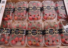 Datterini rossi. Ormai è un classico per la cucina italiana di alta qualità