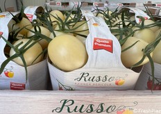 Ovetto bianco: bello e buono da mangiare. Ottimo per insalate, dato il suo retrogusto vagamente di limone. Eppure in cottura si comporta come un buon pomodoro rosso, di buon sapore con una salsa che riesce perfettamente cremosa