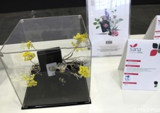 Tra le novità presentate a Sana Food: WDRINK, marchio di Sigroup International, che qualifica una linea single botanical di distillati non alcolici. Un'acqua aromatica 100% naturale, ricavata dalla distillazione in corrente di vapore acqueo delle parti edibili della pianta, effettuata nel loro momento balsamico, senza aggiunta di aromi, conservanti, zuccheri o alcol.