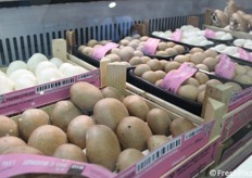 Funghi prataioli bianchi e crema. Buoni da mangiare, senza grassi e a basso contenuto di zuccheri.