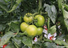 Anche nei palchi alti la produzione è ben visibile