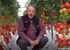 Rosario Privitera, Capo Area Sud di TSI Italia