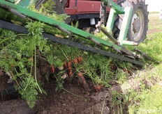 La macchina "inforca" nel suolo le carote