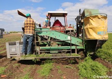 A destra avviene l'estrazione; a sinistra la carota finisce nel bins, passando da un nastro