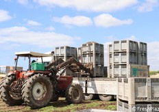 Attività di carico in campo