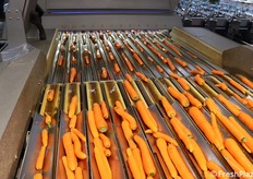 La carota già lavata viene avviata alla calibratura