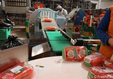 Isola di prelievo delle singole confezioni che poi finiscono in cassette