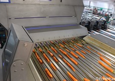 Ecco in foto la calibratura delle carote