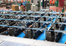 Canalette col prodotto praticamente già selezionato e avviato verso il confezionamento stabilito