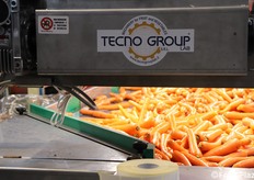 Altro tratto dell'impianto realizzato all'interno di Fonteverde 