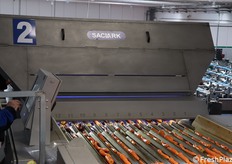 Calibratura carote novelle