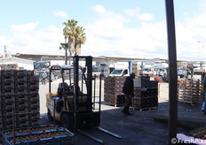 Immagine dell'ortomercato di Vittoria