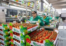 Operatrice alla linea di confezionamento