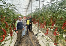 In foto i Fratelli Ballone, all'interno di un filare di pomodoro