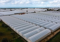 Impianto serricolo di produzione propria Orto Dirillo