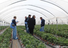 Momenti di confronto e valutazione dei visitatori italiani all'interno dei campi sperimentali.