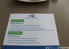 Scheda tecnica della nuova selezione per ora denominata A.