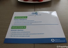 Scheda tecnica della nuova selezione per ora denominata B.