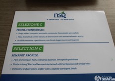 Scheda tecnica della nuova selezione per ora denominata C.