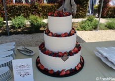 Torta realizzata con fragole e berries di NSG 