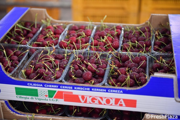 Ciliegie di Vignola IGP 