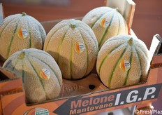 Il rinomato retato del Consorzio Melone Mantovano IGP