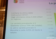 "In Sicilia stimiamo 4400 ettari e la varietà prevalente, per il 70%, è il gialletto. Il Mundial è al secondo posto", ha spiegato Macchi.  