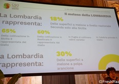 "La Lombardia quindi rappresenta la seconda regione in Italia, con il 18% a tutta la produzione italiana. Però in Sicilia il 65% è melone giallo, e anche in Basilicata, Puglia e Calabria prevale il gialletto, quindi il melone a polpa arancione è coltivato al 30% in Lombardia che è la prima regione in Italia su questo fronte", ha concluso Macchi.  