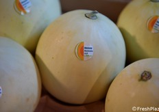 Il Simposio è stato il primo evento dove la filiera del melone si è presentata in maniera così allargata, secondo Garipoli.
