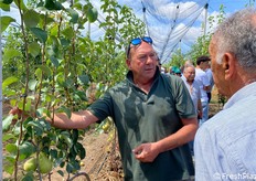 Massimo Contini, coltivatore di pere di Ferrara con quarant'anni di esperienza nel settore della pericoltura, spiega ai visitatori in campo le caratteristiche della varietà Eden