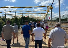 Uzi Cairo è convinto che questa cultivar sia una vera opportunità per far ripartire la pericoltura italiana. "Appuntamenti di questo genere - precisa - sono ogni anno sempre più attesi e con un crescente numero di visitatori".