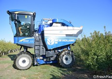 L'impianto deve essere progettato per agevolare la raccolta meccanizzata