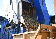 L'annata 2025 non sarà ricordata come di piena produzione, a causa delle condizioni meteo primaverili