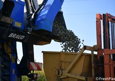 Ogni fase è automatizzata