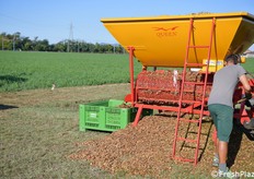 operazione di smallatura