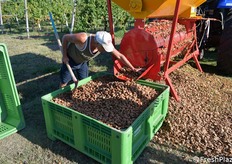 La smallatrice è azionata dalla presa di potenza di un trattore