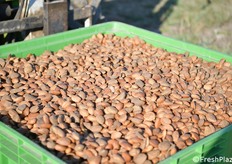 Qualità alla luce del sole