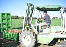 Pasotti sposta i bins di mandorle: questi andranno poi allo stabilimento per l'essiccazione