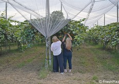 Alla ricerca del frutto più bello da fotografare
