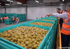 All'interno dello stabilimento della OP Granfrutta Zani