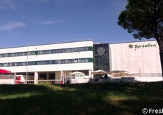 Uno scorcio della nuova piattaforma di Spreafico a Fiano Romano. La struttura copre 6600 metri quadri di open space, con zone operative per ricevimento, spedizione, conservazione, lavorazione e maturazione dei prodotti che hanno reso celebre il marchio in tutti i segmenti di mercato.